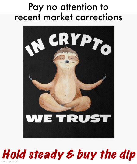 Slothbertarian always knew the day would come our crypto faith would be tested.* *This meme does not constitute financial advice | Pay no attention to recent market corrections; Hold steady & buy the dip | image tagged in sloth in crypto we trust,sloth,crypto,cryptocurrency,buy the dip sell the rip,this meme does not constitute investment advice | made w/ Imgflip meme maker