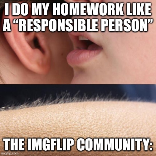 Me personally…. Do not :( | I DO MY HOMEWORK LIKE A “RESPONSIBLE PERSON”; THE IMGFLIP COMMUNITY: | image tagged in whisper and goosebumps | made w/ Imgflip meme maker