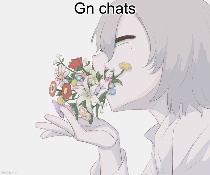 Avogado6 | Gn chats | image tagged in avogado6 | made w/ Imgflip meme maker