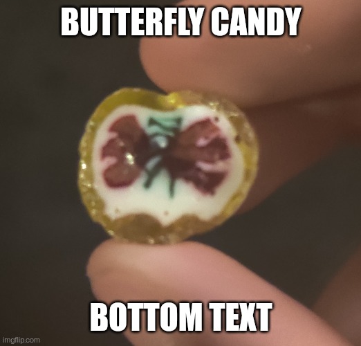 BUTTERFLY CANDY; BOTTOM TEXT | image tagged in butterfly | made w/ Imgflip meme maker