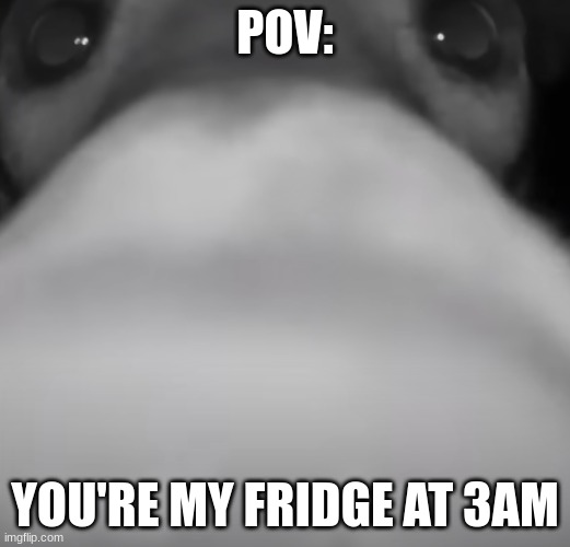 So true | POV:; YOU'RE MY FRIDGE AT 3AM | image tagged in pov | made w/ Imgflip meme maker