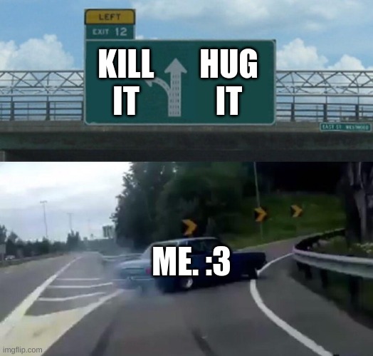 Car Drift Meme | KILL
IT HUG
IT ME. :3 | image tagged in car drift meme | made w/ Imgflip meme maker