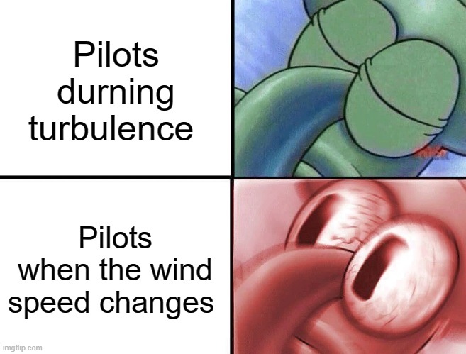 I just want to know that I'm not gonna die |  Pilots durning turbulence; Pilots when the wind speed changes | image tagged in sleeping squidward,airplane,airplanes,pilot | made w/ Imgflip meme maker