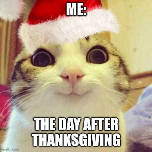 ME:; THE DAY AFTER THANKSGIVING | image tagged in funny,cats | made w/ Imgflip meme maker