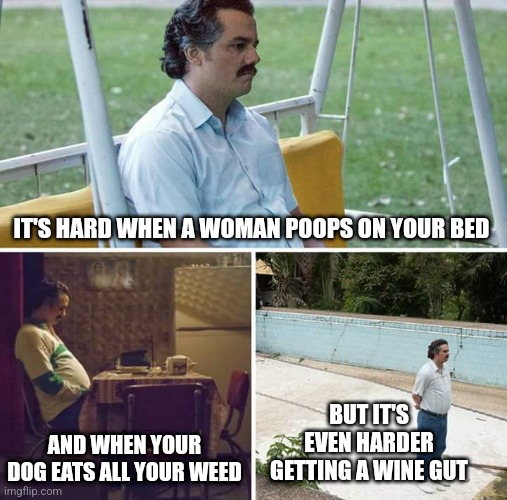 Sad Pablo Escobar | IT'S HARD WHEN A WOMAN POOPS ON YOUR BED; BUT IT'S EVEN HARDER GETTING A WINE GUT; AND WHEN YOUR DOG EATS ALL YOUR WEED | image tagged in memes,sad pablo escobar | made w/ Imgflip meme maker
