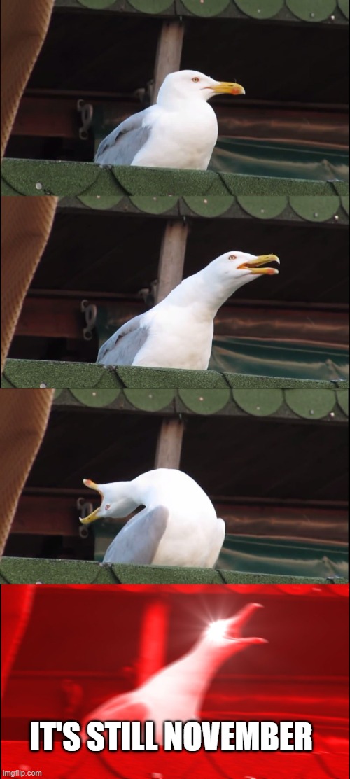 Inhaling Seagull | IT'S STILL NOVEMBER | image tagged in memes,inhaling seagull | made w/ Imgflip meme maker