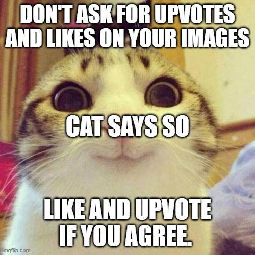 HEHHEHEHEHHEHEHE | DON'T ASK FOR UPVOTES AND LIKES ON YOUR IMAGES; CAT SAYS SO; LIKE AND UPVOTE IF YOU AGREE. | image tagged in memes,smiling cat | made w/ Imgflip meme maker