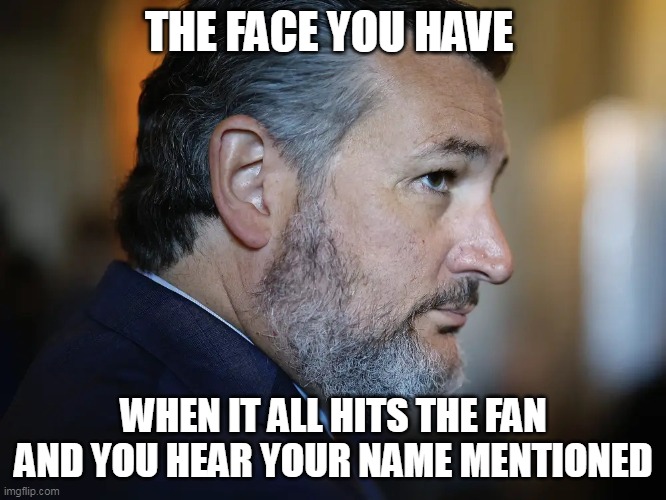 when it all hits the fan and you hear your name mentioned | THE FACE YOU HAVE; WHEN IT ALL HITS THE FAN AND YOU HEAR YOUR NAME MENTIONED | image tagged in ted cruz,politics,funny,trouble,texas,cancun | made w/ Imgflip meme maker