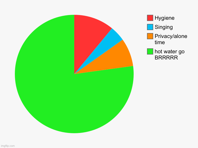 hot water go BRRRRR, Privacy/alone time, Singing, Hygiene | image tagged in charts,pie charts | made w/ Imgflip chart maker