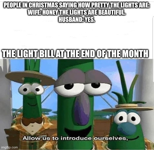 I saw all the lights in the neighborhood |  PEOPLE IN CHRISTMAS SAYING HOW PRETTY THE LIGHTS ARE:
WIFE: HONEY THE LIGHTS ARE BEAUTIFUL.
HUSBAND: YES. THE LIGHT BILL AT THE END OF THE MONTH | image tagged in allow us to introduce ourselves | made w/ Imgflip meme maker