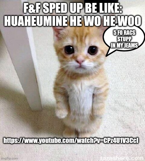 Cute Cat | F&F SPED UP BE LIKE: HUAHEUMINE HE WO HE WOO; 5 FO RACS STUPP IN MY JEAMS; https://www.youtube.com/watch?v=CPz4U1V3CcI | image tagged in memes,cute cat | made w/ Imgflip meme maker