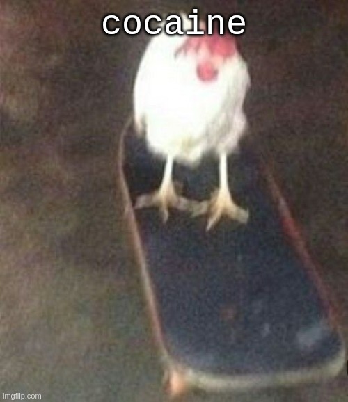 Dog on skateboard | cocaine | image tagged in dog on skateboard | made w/ Imgflip meme maker