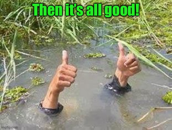 FLOODING THUMBS UP | Then it’s all good! | image tagged in flooding thumbs up | made w/ Imgflip meme maker