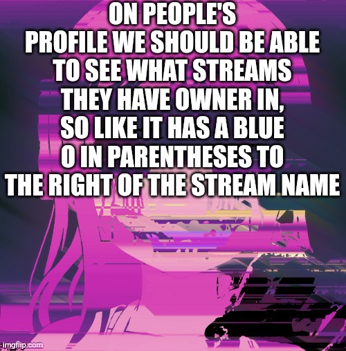 Ill make a part 2 to this | ON PEOPLE'S PROFILE WE SHOULD BE ABLE TO SEE WHAT STREAMS THEY HAVE OWNER IN, SO LIKE IT HAS A BLUE O IN PARENTHESES TO THE RIGHT OF THE STREAM NAME | made w/ Imgflip meme maker