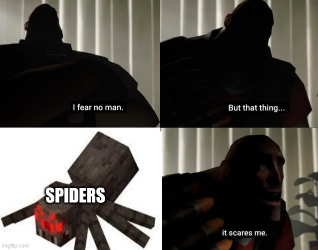 as someone who has Archnophobia this is facts | SPIDERS | image tagged in i fear no man but that thing it scares me | made w/ Imgflip meme maker