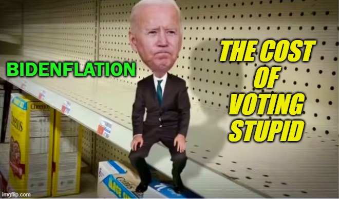 Bidenflation: The Cost Of Voting Stupid | THE COST
OF
VOTING
STUPID; BIDENFLATION | image tagged in biden on empty store shelf | made w/ Imgflip meme maker