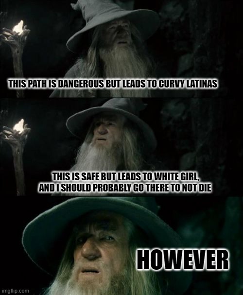 We all are going to choose the same path ;) | THIS PATH IS DANGEROUS BUT LEADS TO CURVY LATINAS; THIS IS SAFE BUT LEADS TO WHITE GIRL, AND I SHOULD PROBABLY GO THERE TO NOT DIE; HOWEVER | image tagged in memes,confused gandalf | made w/ Imgflip meme maker