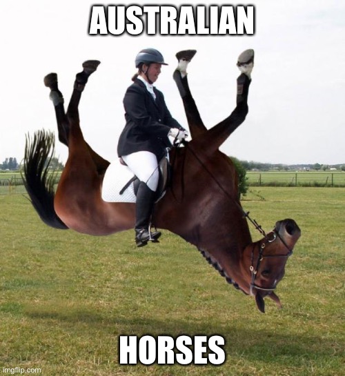 Australian horse | AUSTRALIAN; HORSES | image tagged in horse upside down | made w/ Imgflip meme maker