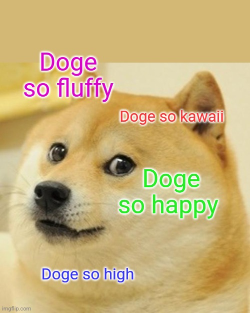 Doge Meme | Doge so fluffy; Doge so kawaii; Doge so happy; Doge so high | image tagged in memes,doge | made w/ Imgflip meme maker