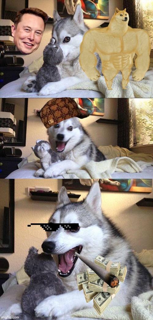 Bad Pun Dog | image tagged in memes,bad pun dog | made w/ Imgflip meme maker
