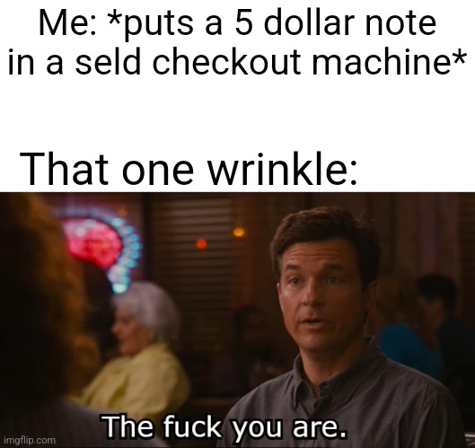 So damn true. | Me: *puts a 5 dollar note in a seld checkout machine*; That one wrinkle: | image tagged in the fuck you are | made w/ Imgflip meme maker