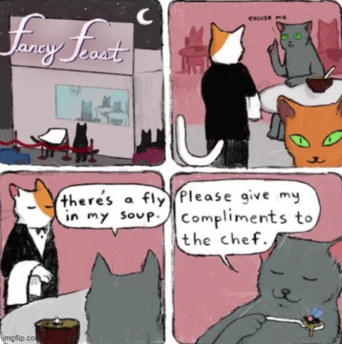 restaurant for cats | image tagged in cats | made w/ Imgflip meme maker