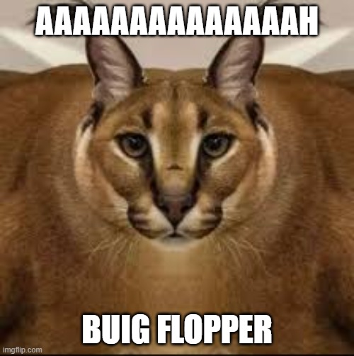 bIGSUS | AAAAAAAAAAAAAAH; BUIG FLOPPER | image tagged in bigsus | made w/ Imgflip meme maker