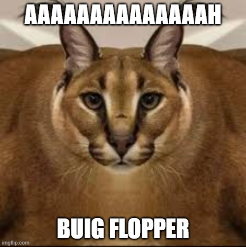 Floppa Flopper GIF - Floppa Flopper Caracal - Discover & Share GIFs