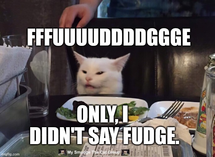  FFFUUUUDDDDGGGE; ONLY, I  DIDN'T SAY FUDGE. | image tagged in smudge the cat | made w/ Imgflip meme maker