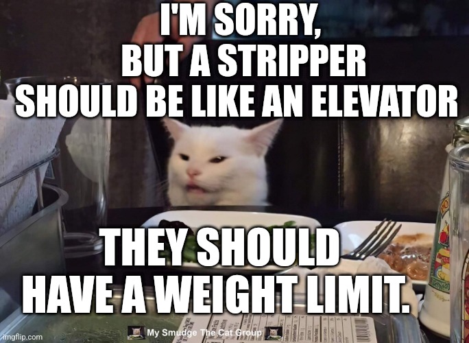 I'M SORRY,  BUT A STRIPPER SHOULD BE LIKE AN ELEVATOR; THEY SHOULD HAVE A WEIGHT LIMIT. | image tagged in smudge the cat | made w/ Imgflip meme maker