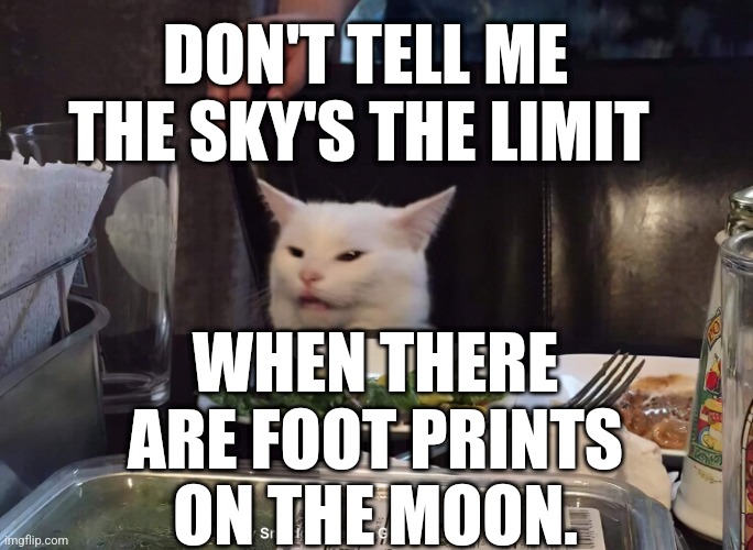 DON'T TELL ME THE SKY'S THE LIMIT; WHEN THERE ARE FOOT PRINTS ON THE MOON. | image tagged in smudge the cat | made w/ Imgflip meme maker