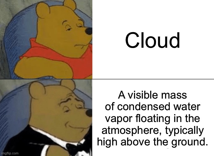 Yes, I took this off of Oxford Languages | Cloud; A visible mass of condensed water vapor floating in the atmosphere, typically high above the ground. | image tagged in memes,tuxedo winnie the pooh | made w/ Imgflip meme maker