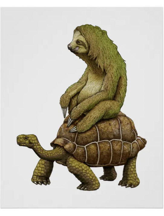 sloth on turtle Blank Meme Template