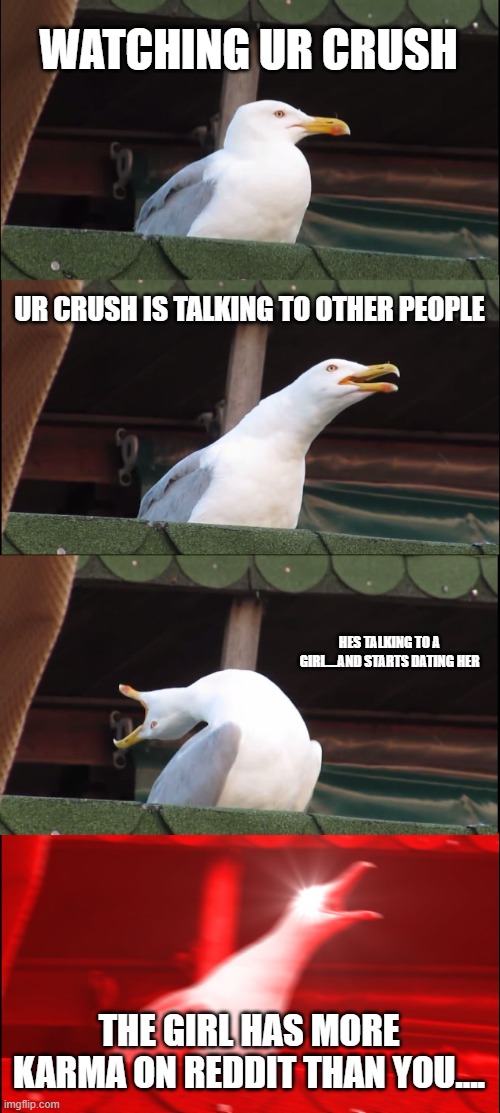 Inhaling Seagull Meme | WATCHING UR CRUSH; UR CRUSH IS TALKING TO OTHER PEOPLE; HES TALKING TO A GIRL....AND STARTS DATING HER; THE GIRL HAS MORE KARMA ON REDDIT THAN YOU.... | image tagged in memes,inhaling seagull | made w/ Imgflip meme maker