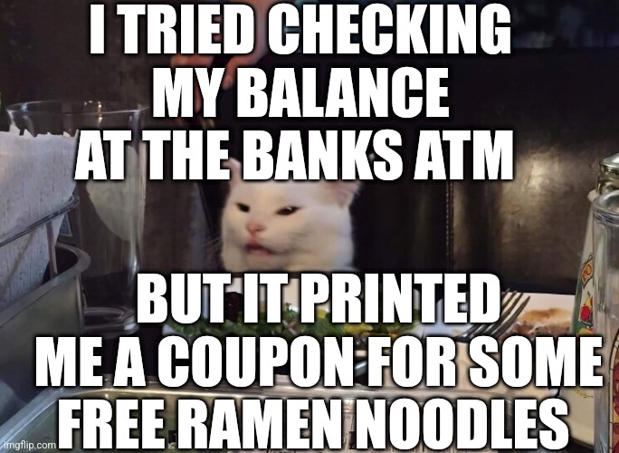 I TRIED CHECKING MY BALANCE AT THE BANKS ATM; BUT IT PRINTED ME A COUPON FOR SOME FREE RAMEN NOODLES | image tagged in smudge the cat | made w/ Imgflip meme maker