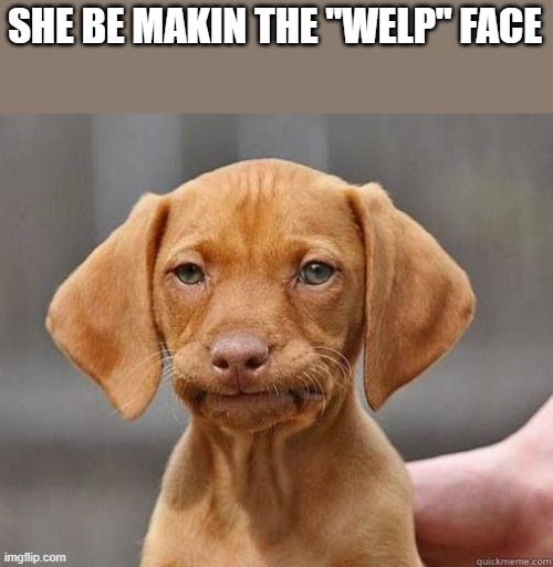 MFW WELP | SHE BE MAKIN THE "WELP" FACE | image tagged in mfw welp | made w/ Imgflip meme maker
