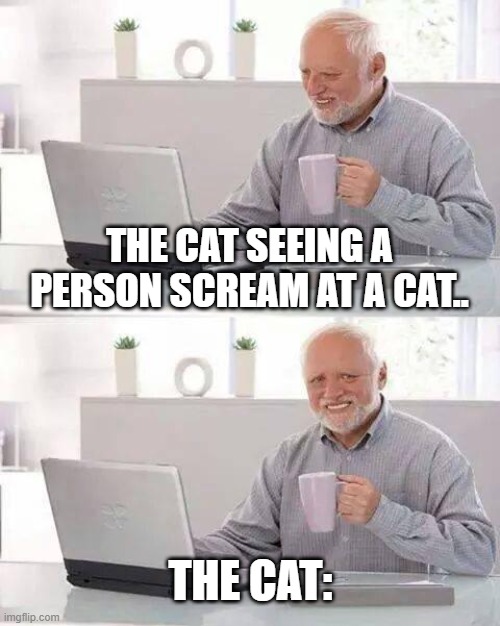 Hide the Pain Harold Meme | THE CAT SEEING A PERSON SCREAM AT A CAT.. THE CAT: | image tagged in memes,hide the pain harold | made w/ Imgflip meme maker