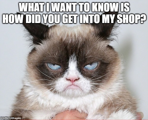 You don't want to know what I really think | WHAT I WANT TO KNOW IS HOW DID YOU GET INTO MY SHOP? | image tagged in you don't want to know what i really think | made w/ Imgflip meme maker