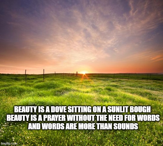 Beauty | BEAUTY IS A DOVE SITTING ON A SUNLIT BOUGH 
BEAUTY IS A PRAYER WITHOUT THE NEED FOR WORDS
AND WORDS ARE MORE THAN SOUNDS | image tagged in landscapemaymay | made w/ Imgflip meme maker