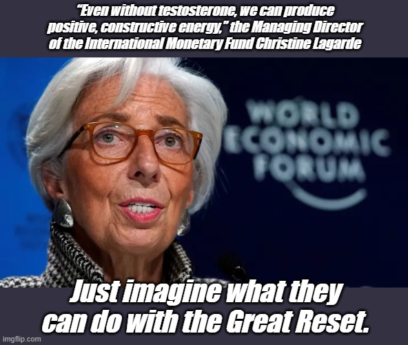 I don't really think testosterone is the problem... even plants have testosterone. | “Even without testosterone, we can produce positive, constructive energy,” the Managing Director of the International Monetary Fund Christine Lagarde; Just imagine what they can do with the Great Reset. | image tagged in wef,imf | made w/ Imgflip meme maker