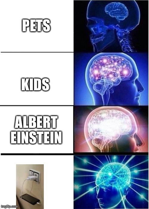 Expanding Brain Meme | PETS; KIDS; ALBERT EINSTEIN | image tagged in memes,expanding brain | made w/ Imgflip meme maker