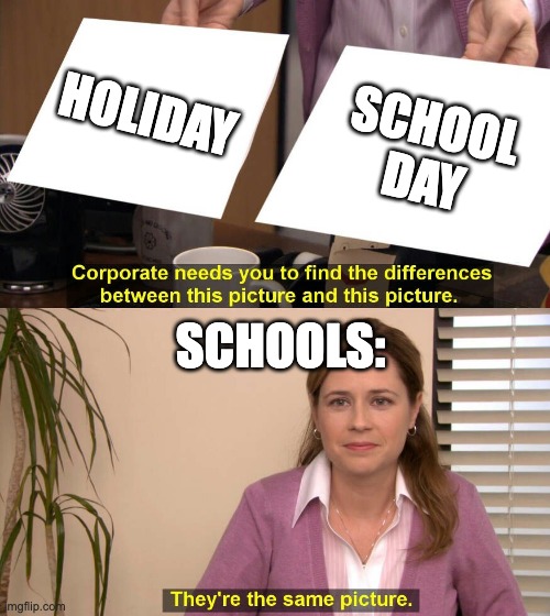 They are the same picture | HOLIDAY; SCHOOL DAY; SCHOOLS: | image tagged in they are the same picture | made w/ Imgflip meme maker