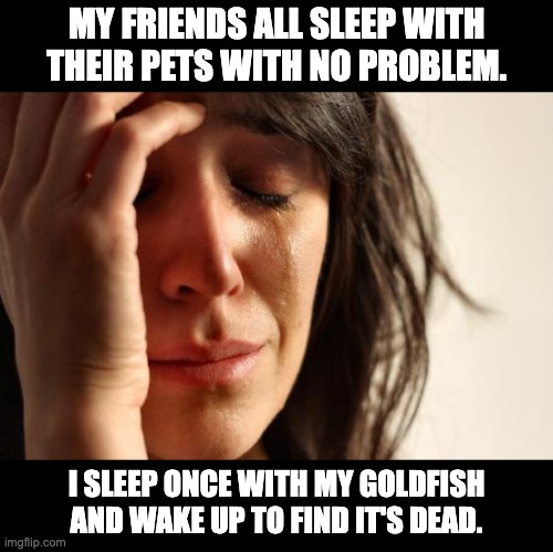 Pet | MY FRIENDS ALL SLEEP WITH THEIR PETS WITH NO PROBLEM. I SLEEP ONCE WITH MY GOLDFISH AND WAKE UP TO FIND IT'S DEAD. | image tagged in memes,first world problems | made w/ Imgflip meme maker