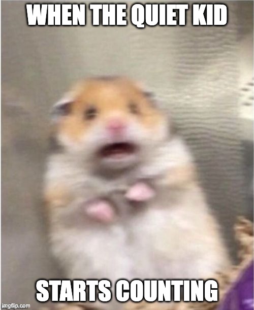 Scared Hamster | WHEN THE QUIET KID; STARTS COUNTING | image tagged in scared hamster | made w/ Imgflip meme maker