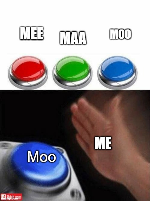 v | MAA; MEE; MOO; ME; Moo | image tagged in three buttons | made w/ Imgflip meme maker