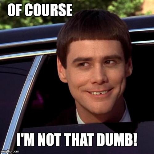 Dumb and Dumber | OF COURSE I'M NOT THAT DUMB! | image tagged in dumb and dumber | made w/ Imgflip meme maker