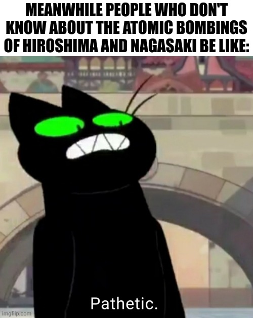 MEANWHILE PEOPLE WHO DON'T KNOW ABOUT THE ATOMIC BOMBINGS OF HIROSHIMA AND NAGASAKI BE LIKE: | image tagged in textbox,mao mao but it's the pathetic meme | made w/ Imgflip meme maker
