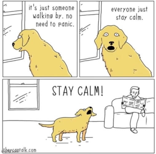 dogs are always here to protect us | image tagged in dogs | made w/ Imgflip meme maker