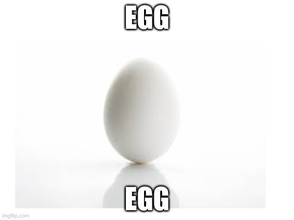 egg | EGG; EGG | image tagged in memes | made w/ Imgflip meme maker