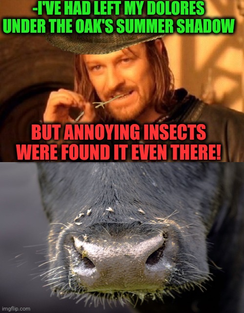 -I'VE HAD LEFT MY DOLORES UNDER THE OAK'S SUMMER SHADOW BUT ANNOYING INSECTS WERE FOUND IT EVEN THERE! | image tagged in -village people of hill | made w/ Imgflip meme maker